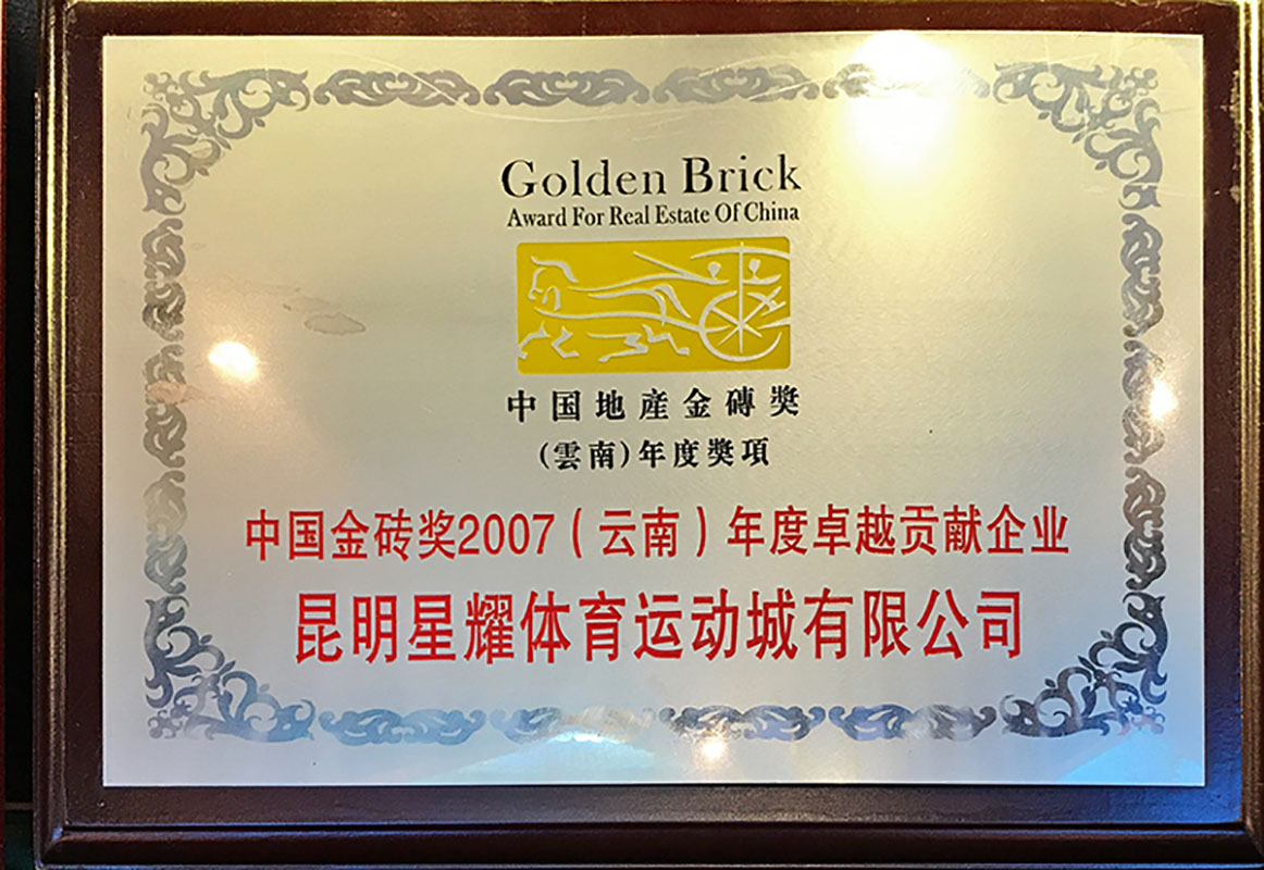 2007中国金砖奖2007（云南）年度卓越贡献企业