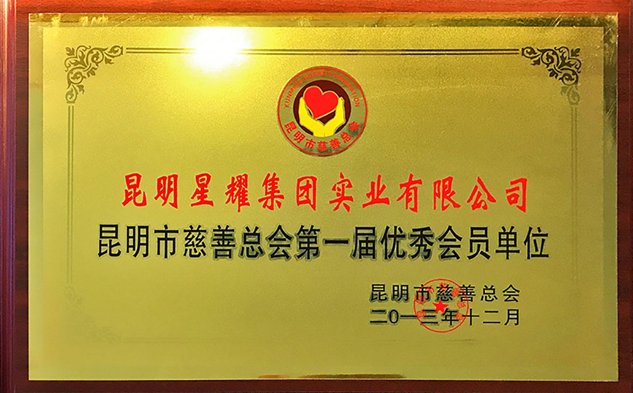 2013 the first outstanding member of kunming charity federation