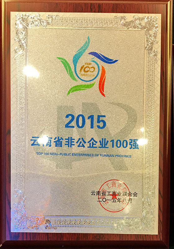 2015 Top 100 Non-public enterprises in Yunnan province