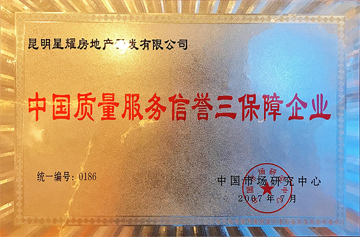 2007年中国质量服务信誉三保障企业