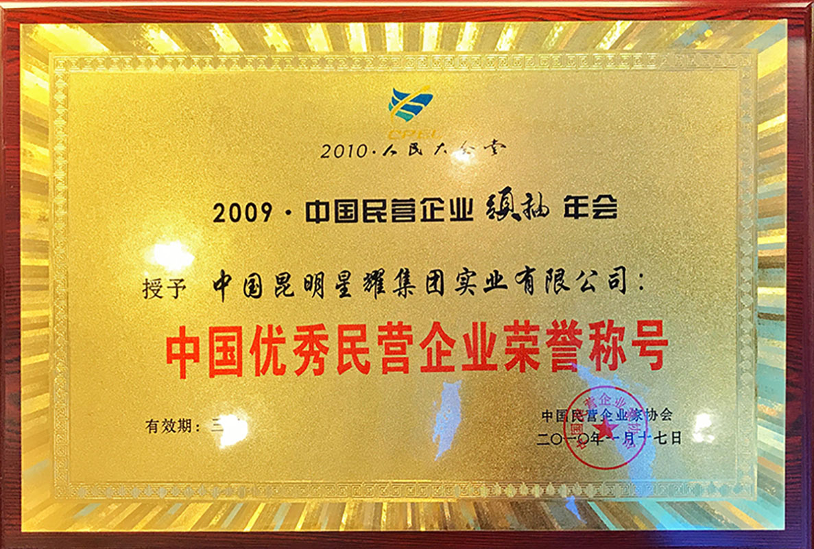 2009中国优秀民营企业（2010年获）