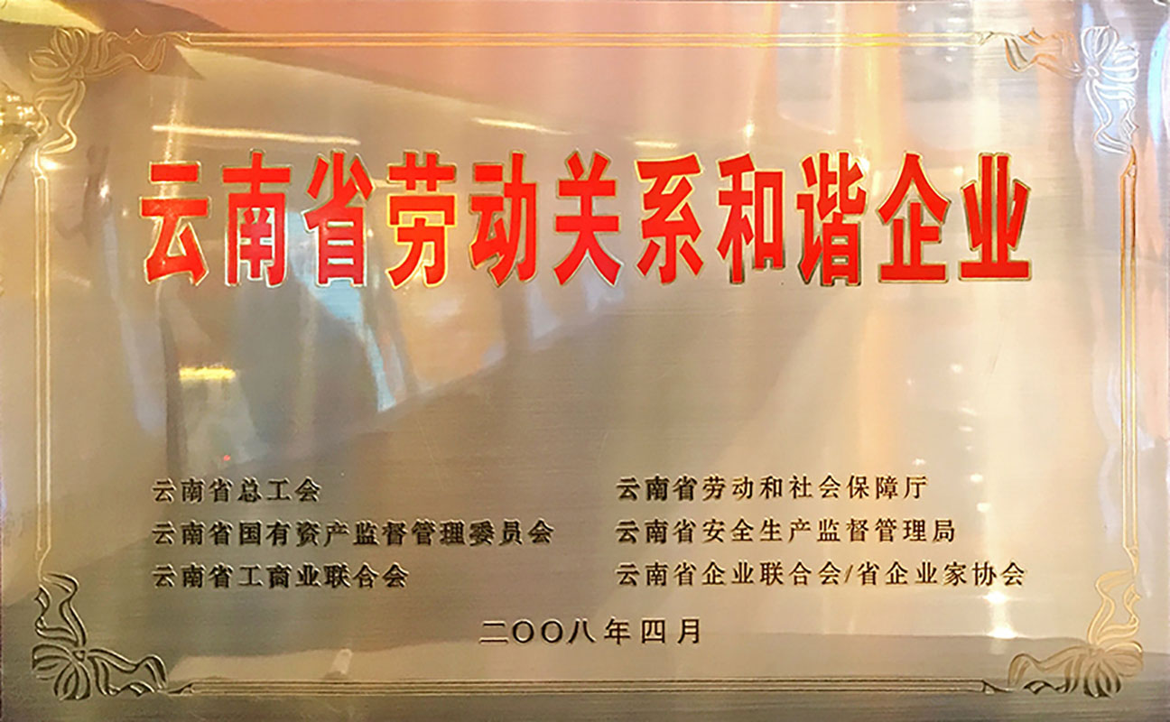 2008 Yunnan Province Labor Relations Harmonious Enterprise