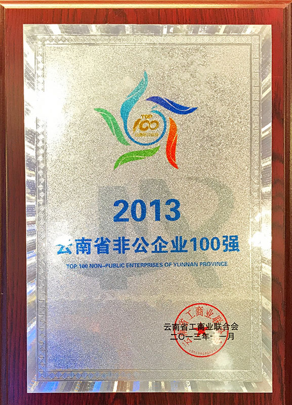 2013 Yunnan Top 100 Non-public Enterprises
