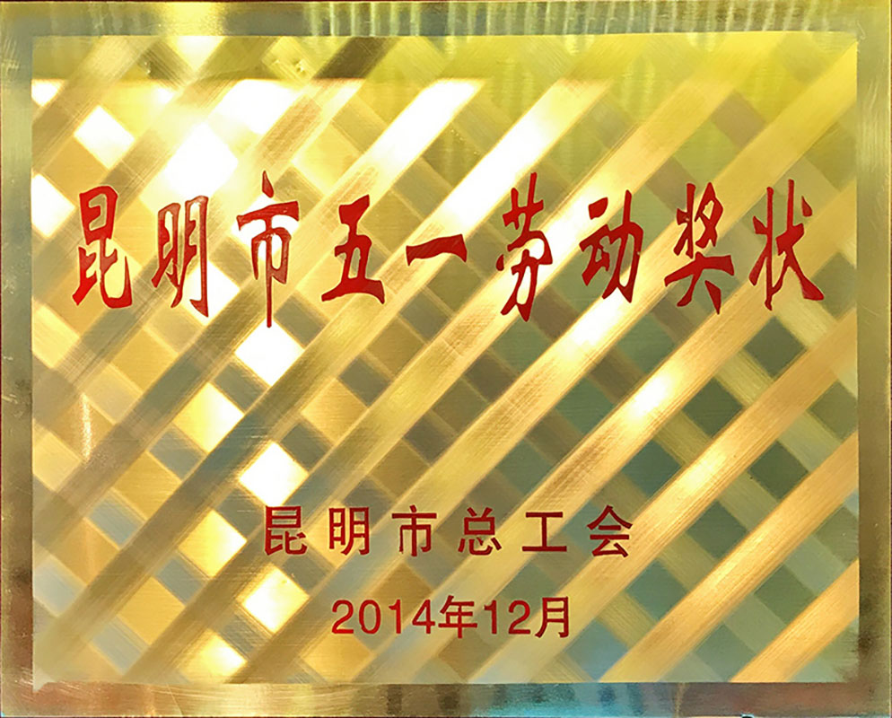 2014 Kunming May Day Labor Award